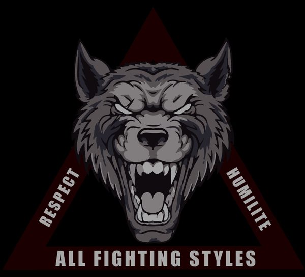BlackSide Brignoles, All fighting styles